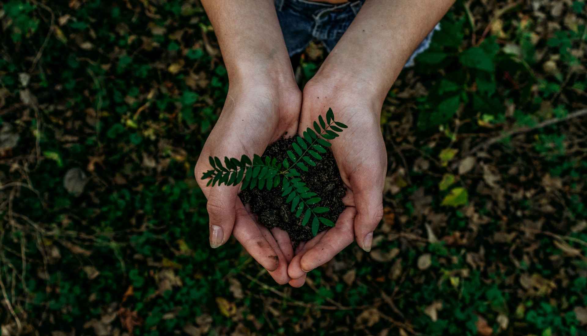 There has been a seismic shift in progress on ESG in the MENA region.