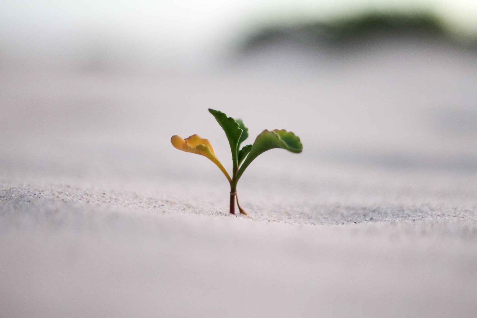 thehrobserver-hrobserver-transformationalinitiatives