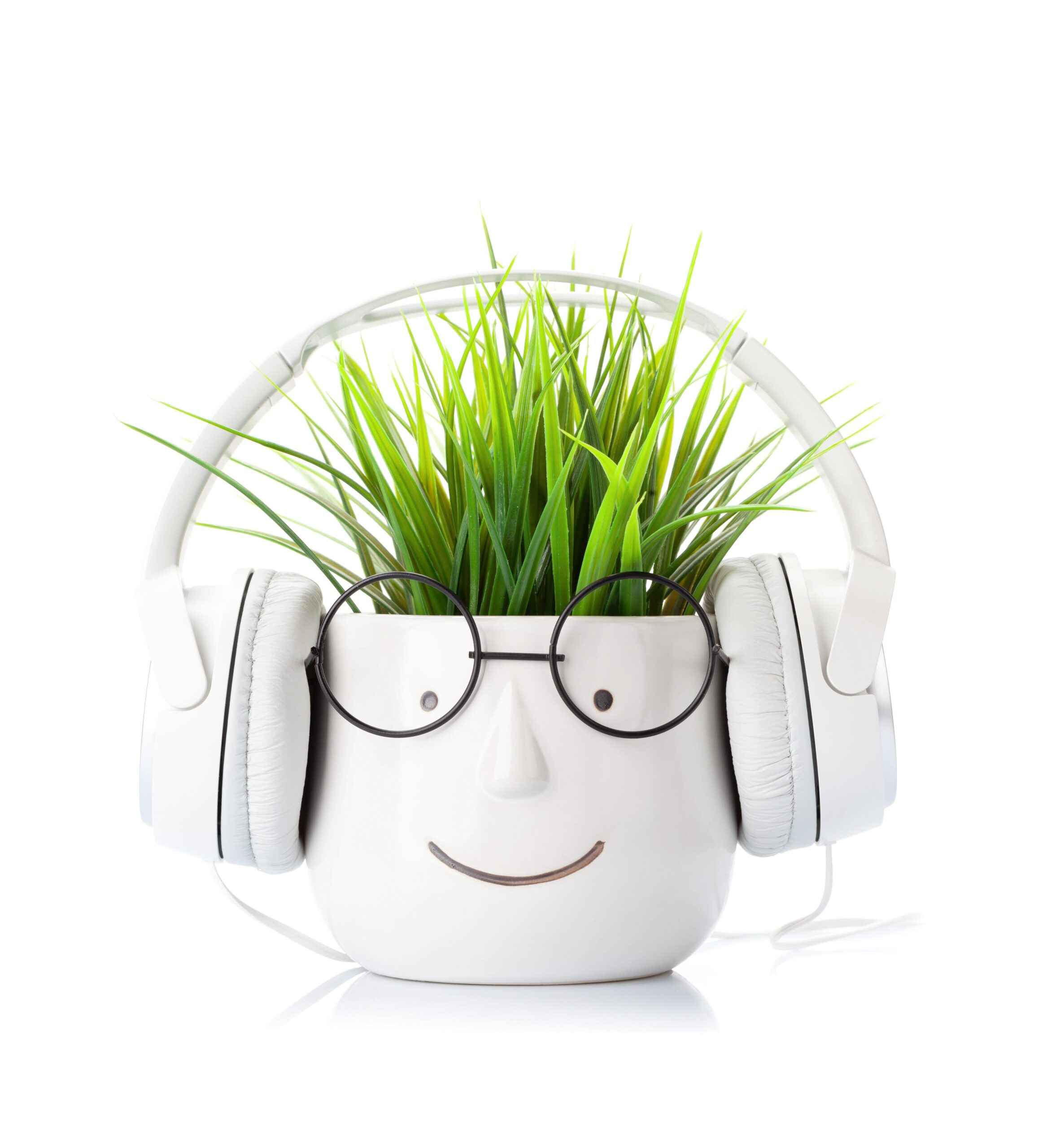 thehrobserver-hrobserver-happyboss